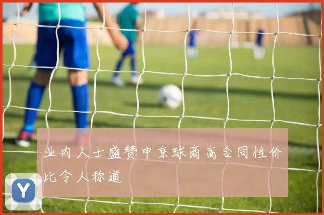 业内人士盛赞申京球商高合同性价比令人称道