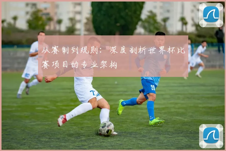 从赛制到规则：深度剖析世界杯比赛项目的专业架构